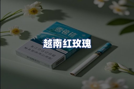 越南红玫瑰